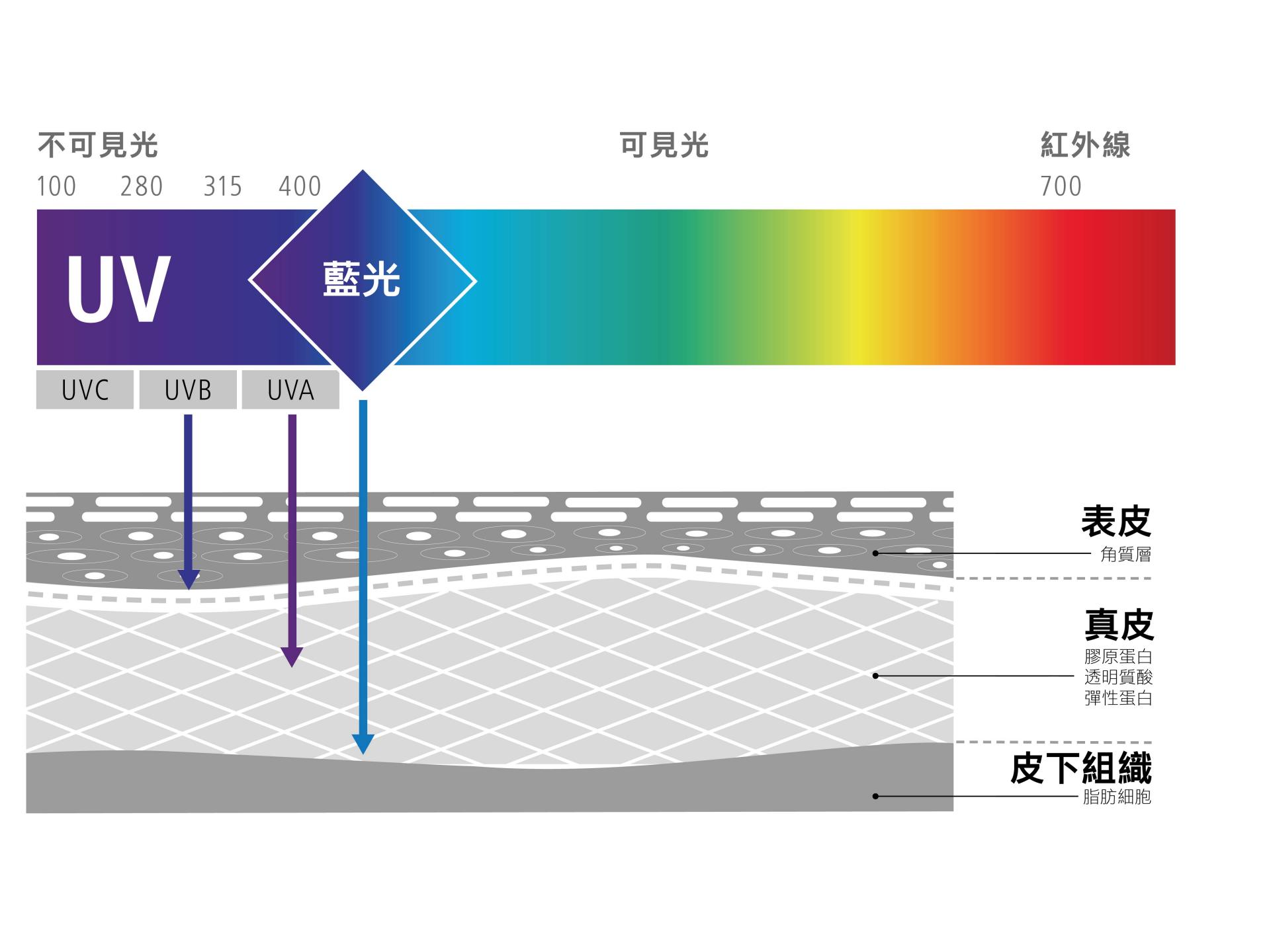 此圖展示藍光對我們細胞的影響（藍光的壞處） 