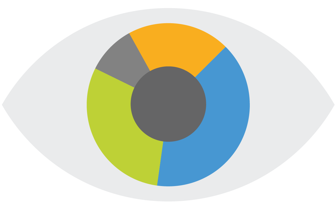 My Vision Profile