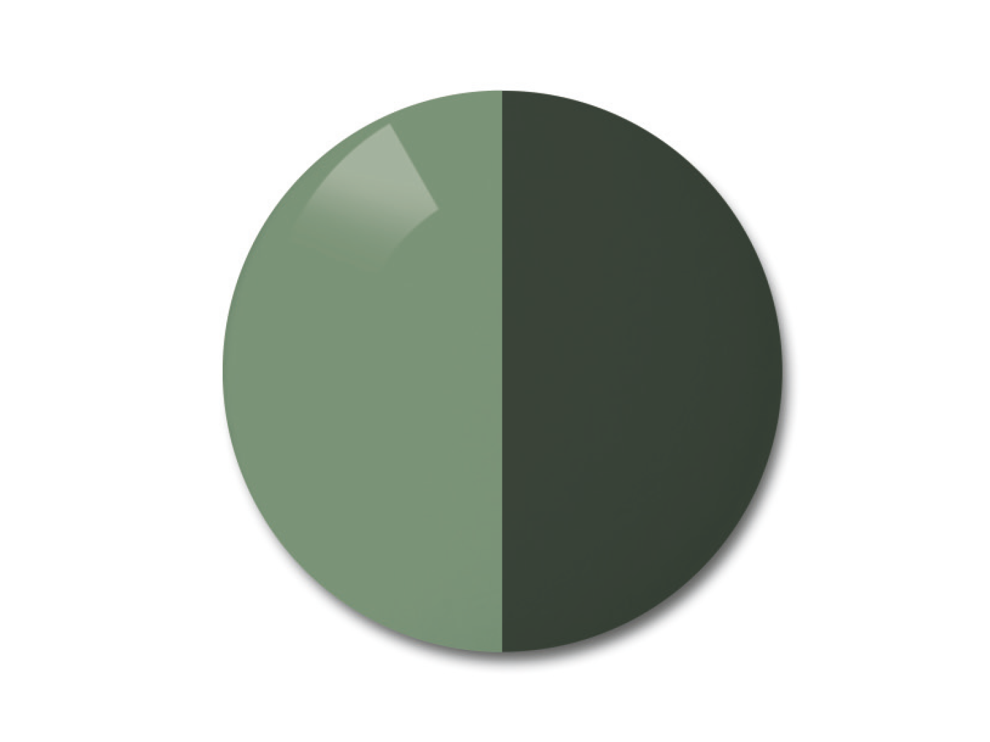 蔡司 AdaptiveSun 灰綠色智能變色太陽鏡片圖解說明 
