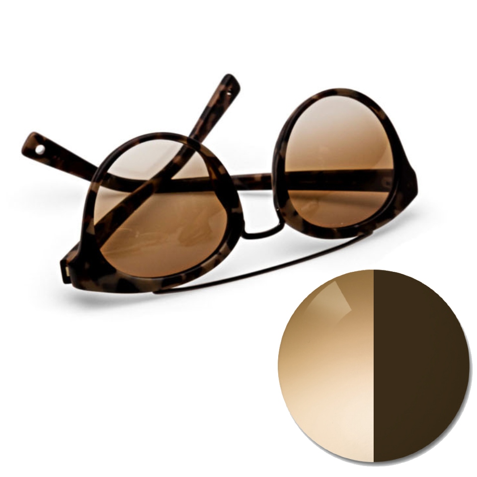蔡司 AdaptiveSun 漸變啡色眼鏡，顯示一個光線中的色點和深色染色色調